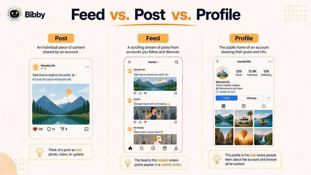 Infographic titled Feed vs Post vs Profile comparing a single post, a scrolling feed of ranked posts, and an account profile hub.